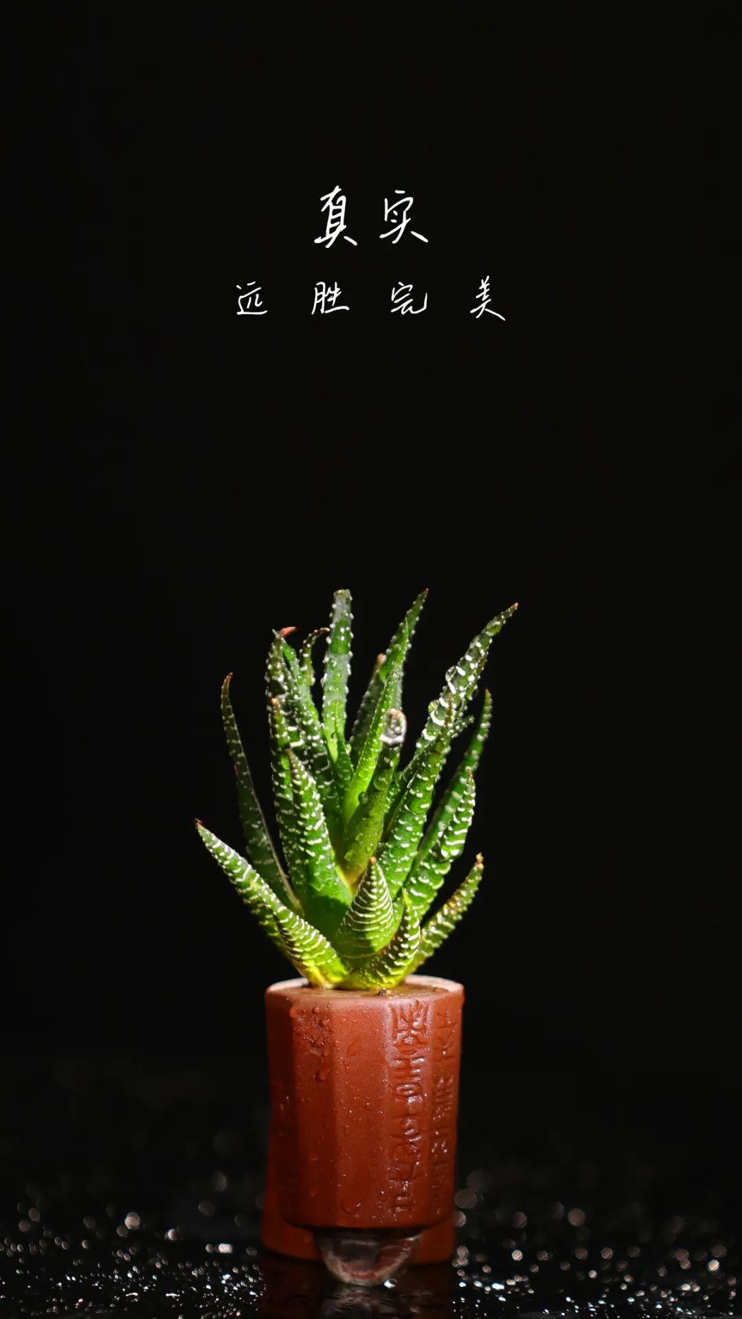 微信图片_20220410112604.jpg