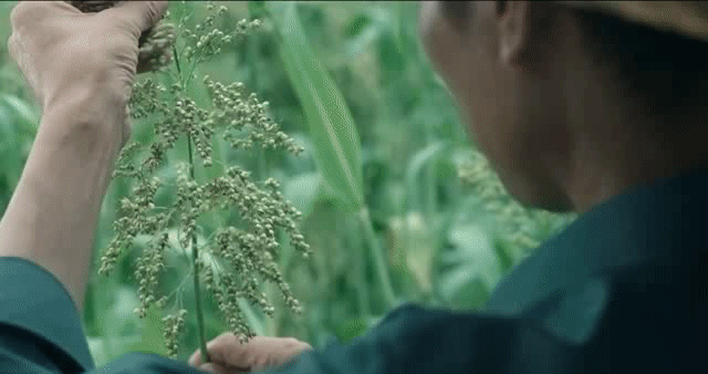 微信图片_20220414203355.gif